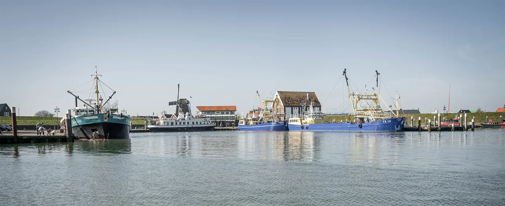 Strand achtergrond foto voor versiering
